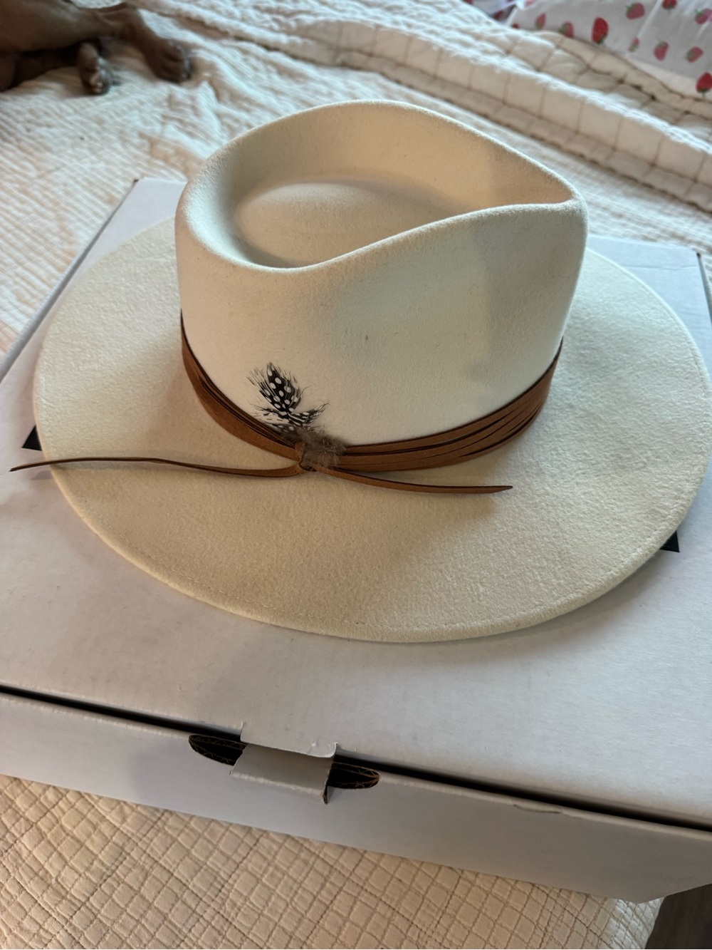 Wander Cream Felt Fedora with Brown Leather Band and Feather